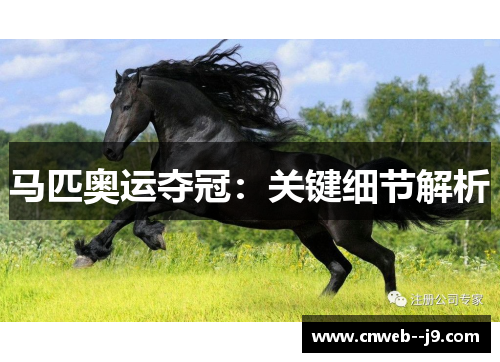 马匹奥运夺冠：关键细节解析