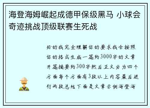海登海姆崛起成德甲保级黑马 小球会奇迹挑战顶级联赛生死战